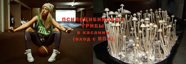 шишки Строитель