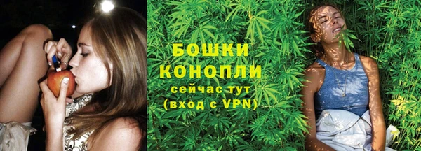 стаф Невельск