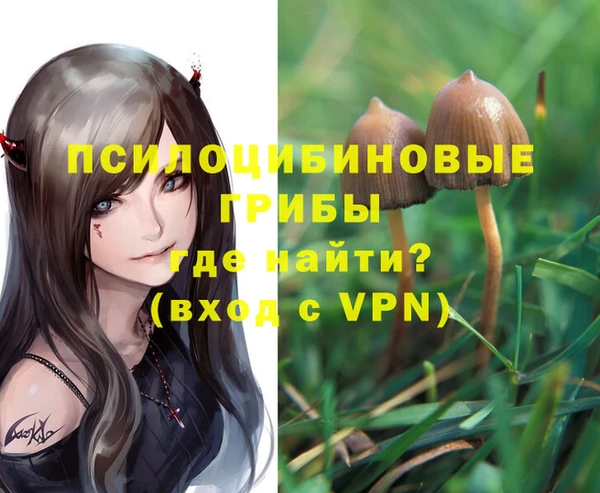 шишки Строитель