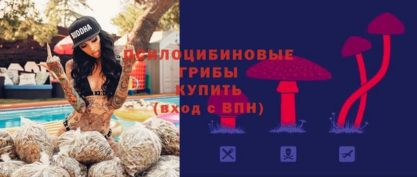 хмурый Ступино