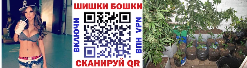 площадка как зайти хочу Ясный Марихуана семена